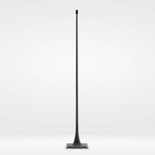 Load image into Gallery viewer, Cloud IX New Carbon mast HM+