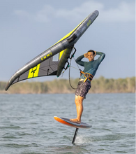 Load image into Gallery viewer, Cloud IX Anchorman Harness &amp; Wing Leash
