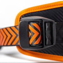 Load image into Gallery viewer, Cloud IX Anchorman Harness &amp; Wing Leash

