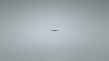 Load and play video in Gallery viewer, VAYU - Wing AURA II - New 2024 model
